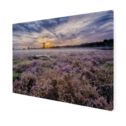 Buitencanvas met Weerbestendig frame en UV beschermende coating | Lavendelveld | 50x70 cm 3