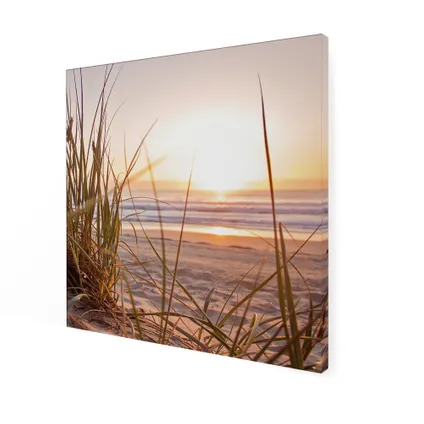 Buitencanvas met Weerbestendig frame en UV beschermende coating | Zonsondergang Duinen | 50x50 cm 3