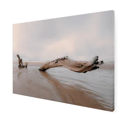 Buitencanvas met Weerbestendig frame en UV beschermende coating | Drijfhout | 50x70 cm 3