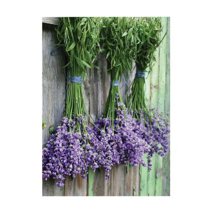 Lavendel - 70x50cm