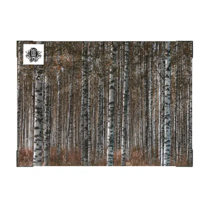 Tableau de Jardin Forêt de bouleaux 50 x 70cm Marron, gris 5