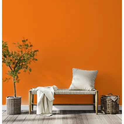 Decoverf peinture murale couleur orange chaud, 4L 2