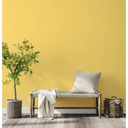 Decoverf peinture murale couleur jaune maïs, 4L 2