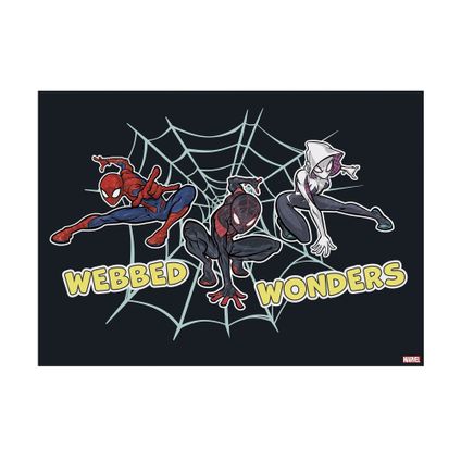Marvel Webbed Wonders - Canvas - 50x70 cm