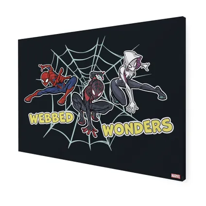 Marvel Webbed Wonders - Canvas - 50x70 cm 3