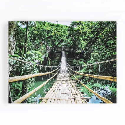 Toile Imprimée Pont Dans La Jungle 75 x 100cm Vert