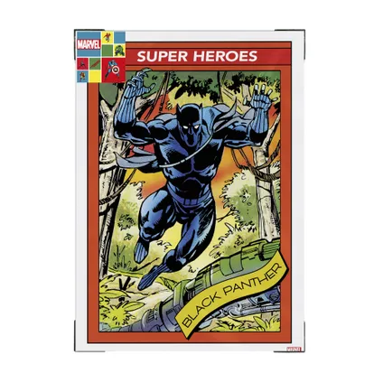 Toile imprimée Super héros Panthère Noire 5