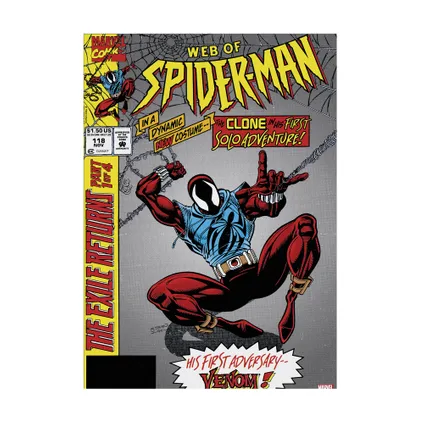 Toile imprimée La toile de Spiderman 70 x 50cm Multicolore