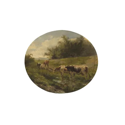 Koeien bij een plas - Canvas Ovaal - 50x70 cm 3