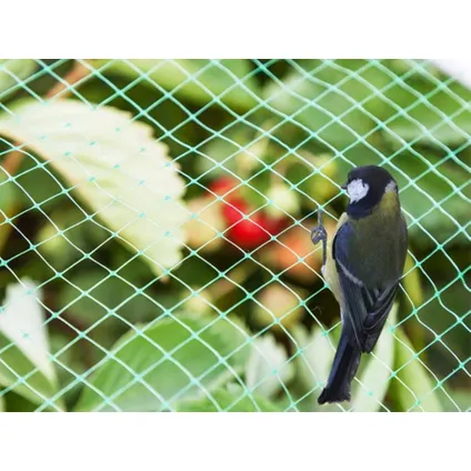 Perel Filet anti-oiseaux, polyester, maillage 2 cm², 2 x 5 m, vert 4