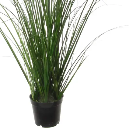 Louis Maes Quality kunstplant - Siergras bush - donkergroen - H55 cm 2