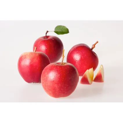 Appelbomen - Set van 3 - Braeburn Golden Delicious Gala - ⌀9cm - Hoogte 60-70cm 4