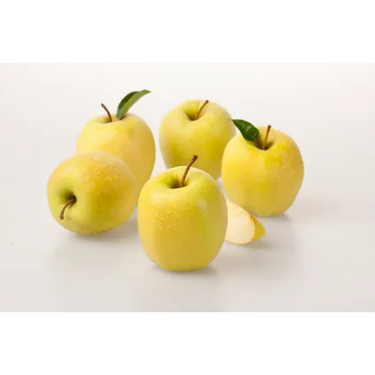 Appelbomen - Set van 3 - Braeburn Golden Delicious Gala - ⌀9cm - Hoogte 60-70cm 5
