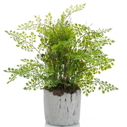 Groene kunstplant varen 28 cm in pot 2