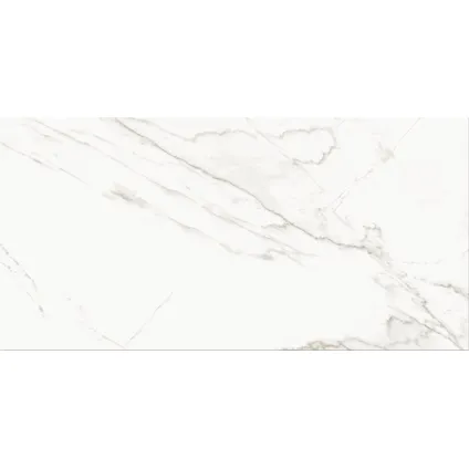 Carrelage mural Stay Classy - Céramique - Effet marbré - Brillant - Blanc - 29,8x59,8cm - 1,25m²