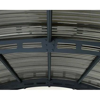 Palram - Canopia | Carport Atlas 4.95 x 2.88 m Grise, toiture teintée 7