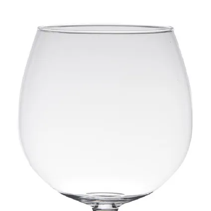 Hakbijl Glass Vaas - brandy - glas - op voet - 20 cm 2