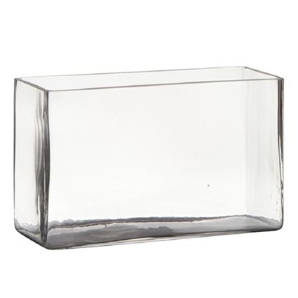 Hakbijl Glass Vaas - transparant - rechthoek - glas - 25 x 10 x 15 cm