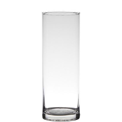 Hakbijl Glass Vaas - Cylinder vorm - transparant - glas - 24 x 9 cm