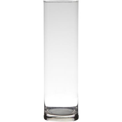 Hakbijl Glass Vaas - cilinder - glas - 9 x 30 cm