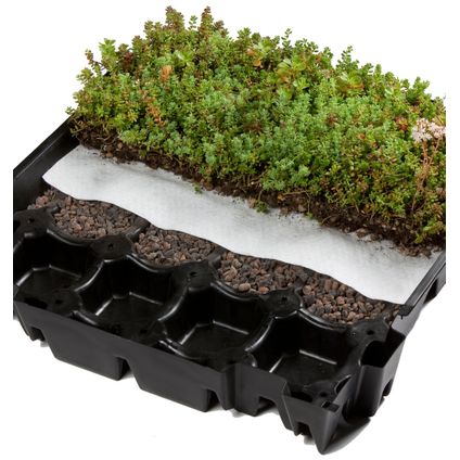 Système de toiture verte - Toundra Box Eco