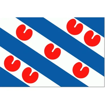 Vlag van de provincie Friesland 40x60cm