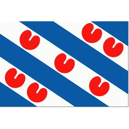 Vlag van de provincie Friesland 100x150cm