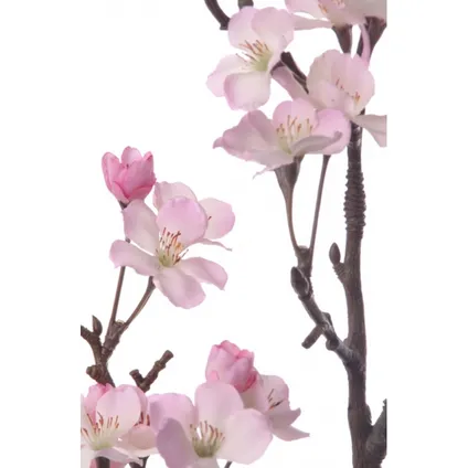 Bellatio flowers & plants Appelbloesem - roze - 104 cm 2