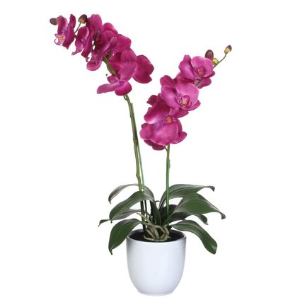 Mica Decorations Orchidee bloem kunstplant - roze - H66 x B38 cm
