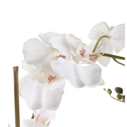 Items Kunstplant Orchidee - witte bloemen en pot - H77 cm 2