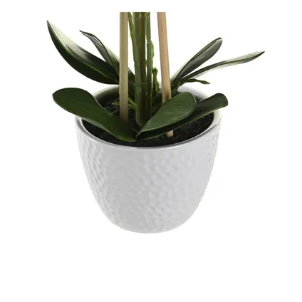 Items Kunstplant Orchidee - witte bloemen en pot - H77 cm 3