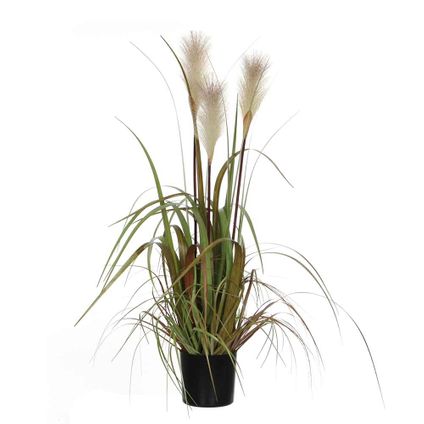 Mica Decorations pluimgras foxtail wit in pot maat in cm: 80 x 45