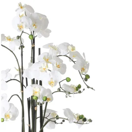 Mica Decorations Orchidee bloem kunstplant - wit - H97 x B19 cm 2