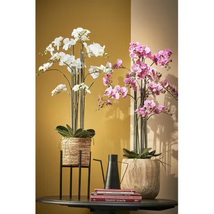 Mica Decorations Orchidee bloem kunstplant - wit - H97 x B19 cm 4