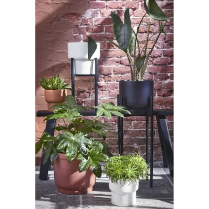 Mica Decorations Plantenstandaard - verhoger - zwart - H71 x B32 cm 4