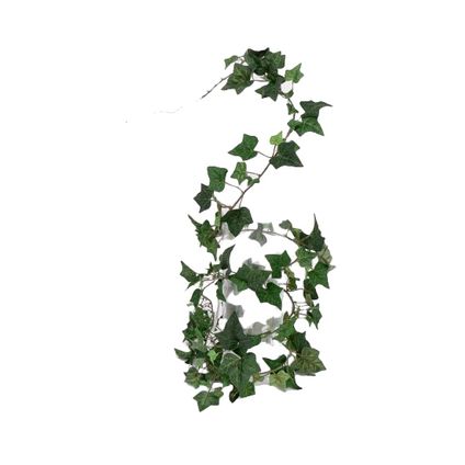 Bellatio flowers & plants Slingerplant - groen - 180 cm