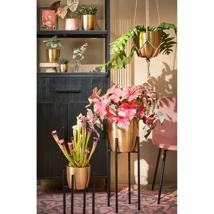 Mica Decorations Plantenstandaard - verhoger - zwart - H70 x B29 cm 4