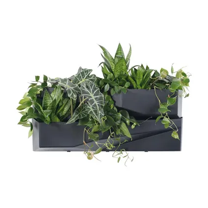 Prosperplast Verticale tuin - 2x - plantenbakken - antraciet - 78 cm 7