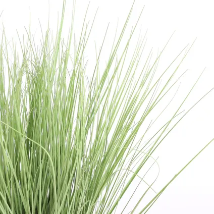 Plante artificielle Mica Decorations Gras - 1x1x68 cm - Vert 2