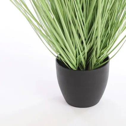 Plante artificielle Mica Decorations Gras - 1x1x68 cm - Vert 3