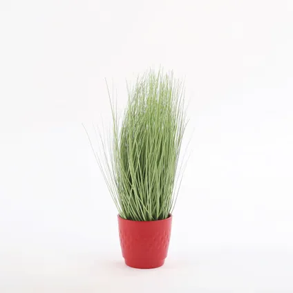Plante artificielle Mica Decorations Gras - 1x1x68 cm - Vert 4