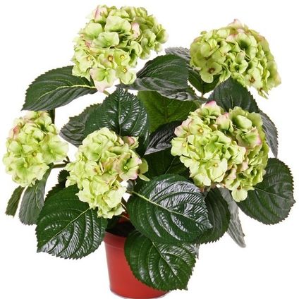 Kunstplant Hortensia - wit met groen - 36 cm