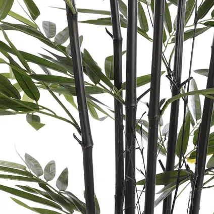 Plante artificielle Mica Decorations Bamboe - 75x75x150 cm - Noir 4