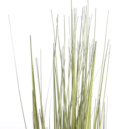 Plante artificielle Mica Decorations Gras - 35x35x92 cm - Vert 2