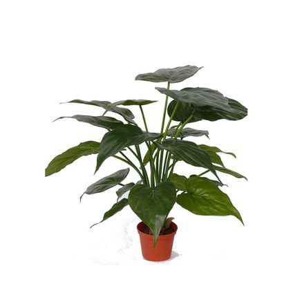 Bellatio flowers & plants Kunstplant - Alocasia olifantenoor - 51 cm