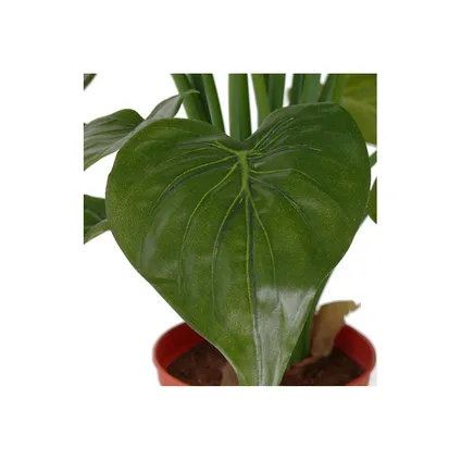 Bellatio flowers & plants Kunstplant - Alocasia olifantenoor - 51 cm 2