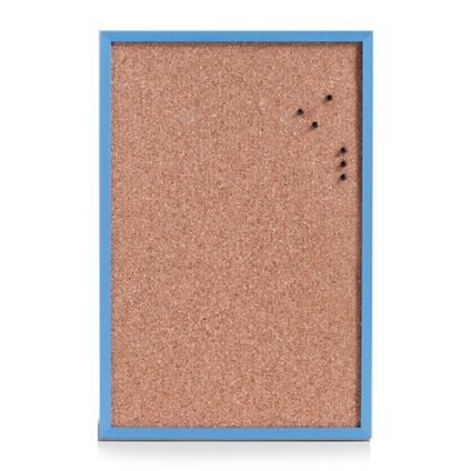 Zeller Prikbord - memobord incl. punaises - 40 x 60 cm - blauw