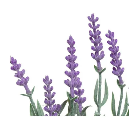 Kunstplant Lavendel - in sierpot - 32 cm 2
