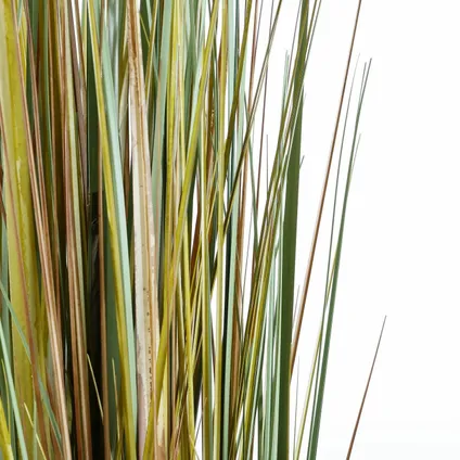Plante artificielle Mica Decorations Dogtail - 45x45x120 cm - Vert 5