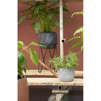 Mica Decorations bloempot plantenstandaard/verhoger - zwart - H38 x D29 cm 6